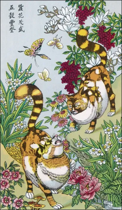 Framed Print : MAGIC CATS OF CHINA Framed Print : MAGIC CATS OF CHINA