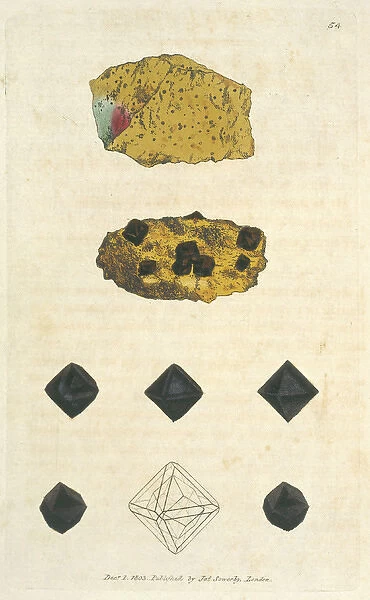 Magnetite. Plate 54 from James Sowerbys British Mineralogy
