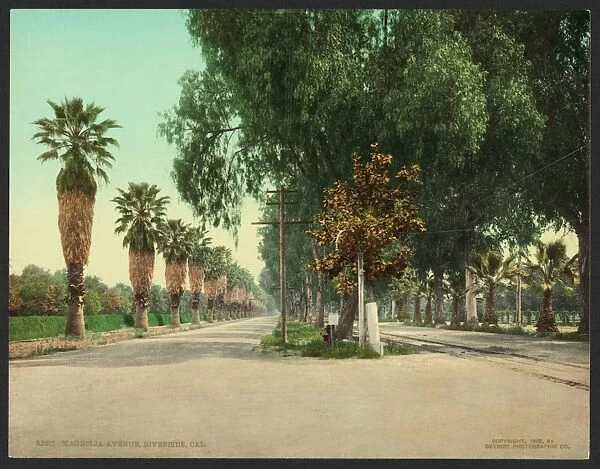 Magnolia Avenue, Riverside, Cal