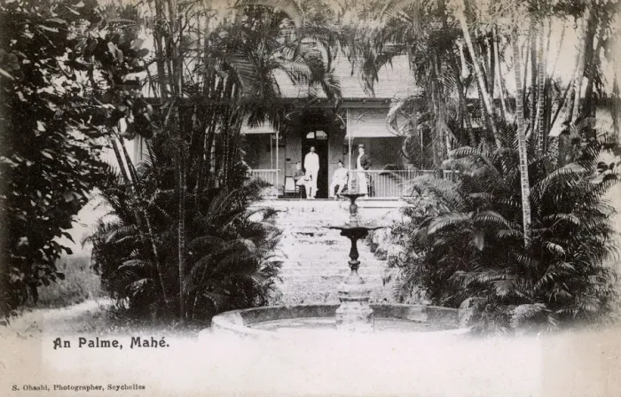 Framed Print : Mahe, Seychelles - An Palme Framed Print : Mahe, Seychelles - An Palme