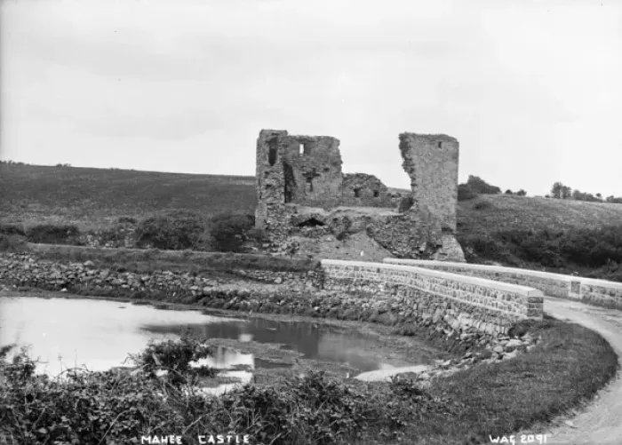 Framed Print : Mahee Castle Framed Print : Mahee Castle