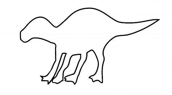Maiasaura. Outline illustration of a Maiasaura