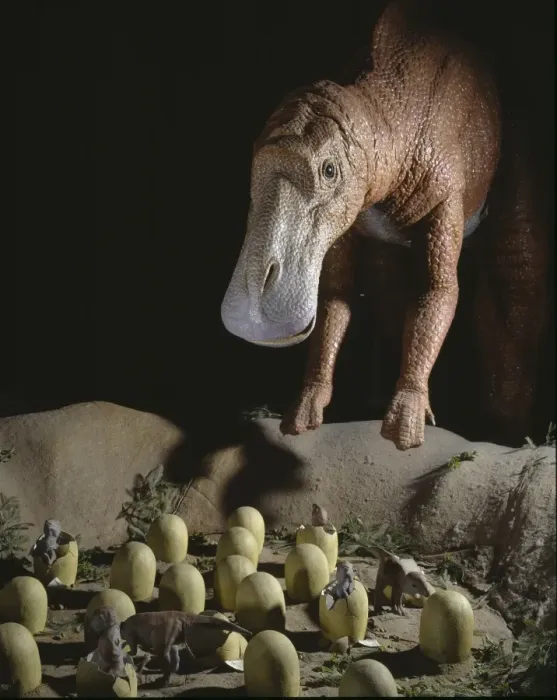Framed Print : Maiasaura with nest of eggs and hatchlings Framed Print : Maiasaura with nest of eggs and hatchlings
