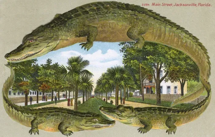Framed Print : Main street, Jacksonville, Florida, USA Framed Print : Main street, Jacksonville, Florida, USA
