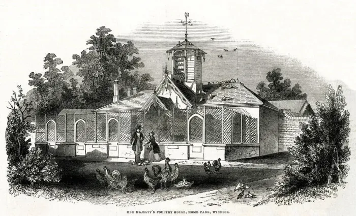 Framed Print : Her Majestys poultry house, Windsor 1843 Framed Print : Her Majestys poultry house, Windsor 1843
