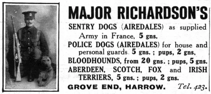 Framed Print : Major Richardsons sentry dogs advertisement Framed Print : Major Richardsons sentry dogs advertisement