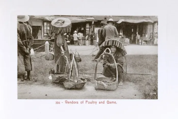 Framed Print : Malaysia - Kuala Lumpur - Poultry or game vendors Framed Print : Malaysia - Kuala Lumpur - Poultry or game vendors