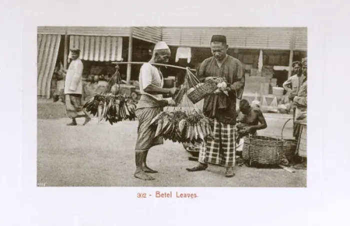 Framed Print : Malaysia - Kuala Lumpur - Street seller of Betel Leaves Framed Print : Malaysia - Kuala Lumpur - Street seller of Betel Leaves
