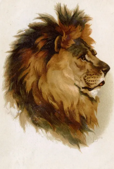 Framed Print : MALE LIONS HEAD Framed Print : MALE LIONS HEAD