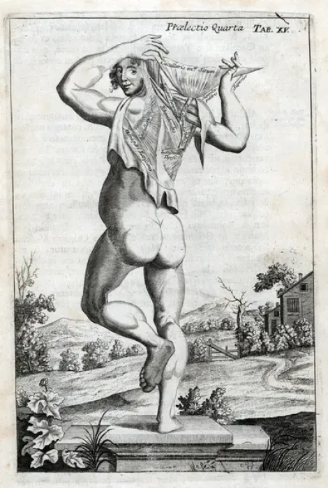 Framed Print : Male on plinth viewed from rear Framed Print : Male on plinth viewed from rear