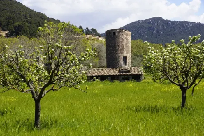 Framed Print : Mallorca, Spain, Valldemossa - old windmill tower Framed Print : Mallorca, Spain, Valldemossa - old windmill tower