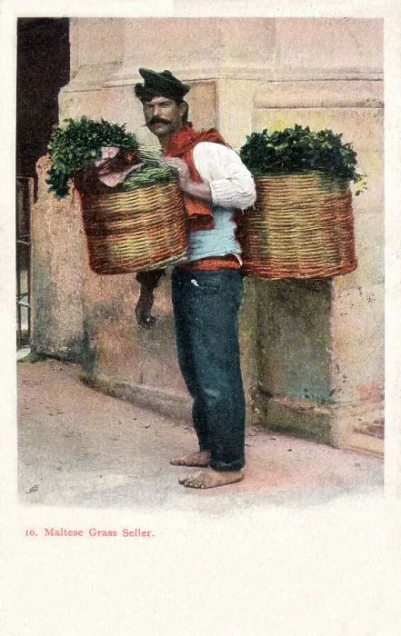 Framed Print : Maltese Grass Seller - Malta Framed Print : Maltese Grass Seller - Malta