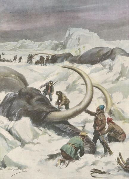 Mammoths Found Frozen