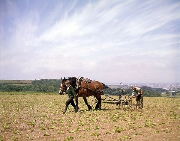 Man and boy, seed drill, field near Plymouth, Devon