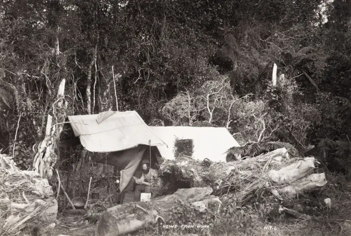 Framed Print : Man in a bush tent, likely New Zealand Framed Print : Man in a bush tent, likely New Zealand