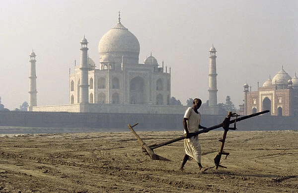 A man carries plough, Taj Mahal, India