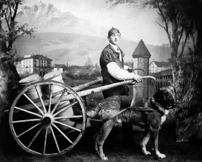 Framed Print : Man and dog with milk cart Framed Print : Man and dog with milk cart