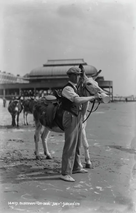Framed Print : Man with a Donkey on the Beach Framed Print : Man with a Donkey on the Beach