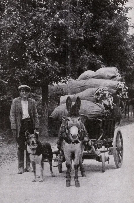Framed Print : Man with donkey and dog on a road in France Framed Print : Man with donkey and dog on a road in France