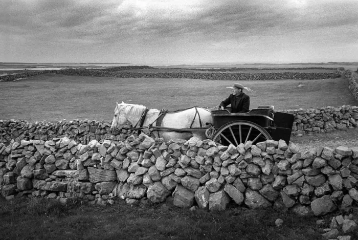 Framed Print : Man drives pony and trap between dry stone walls, Innishmore Framed Print : Man drives pony and trap between dry stone walls, Innishmore