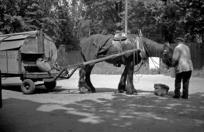 Framed Print : Man feeding carthorse Framed Print : Man feeding carthorse