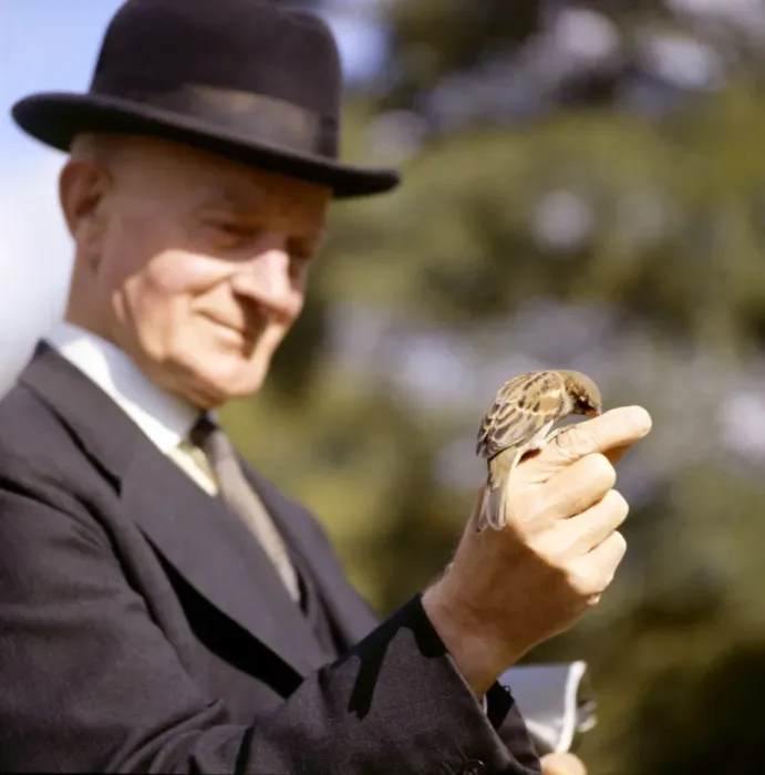 Framed Print : Man feeding a sparrow in a park