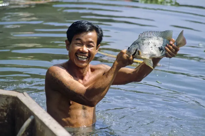 Framed Print : Man with fish, Bangkok Framed Print : Man with fish, Bangkok