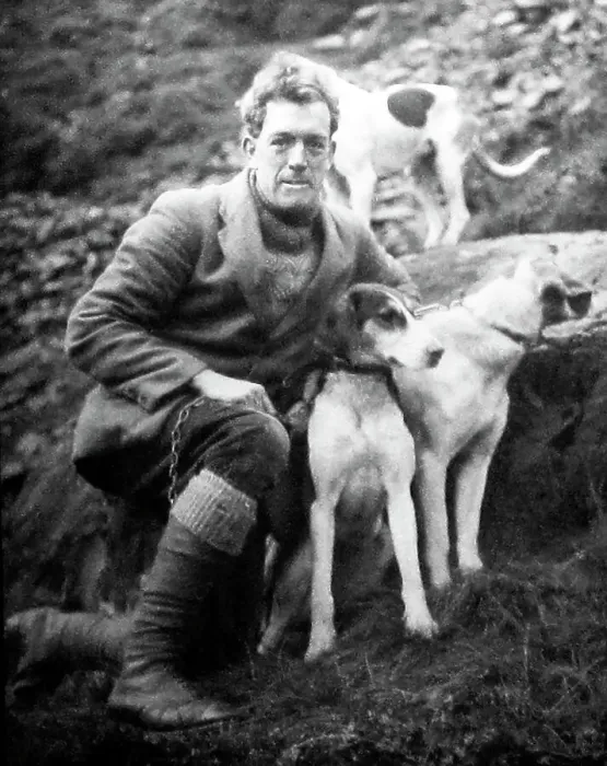 Framed Print : man with foxhounds Framed Print : man with foxhounds
