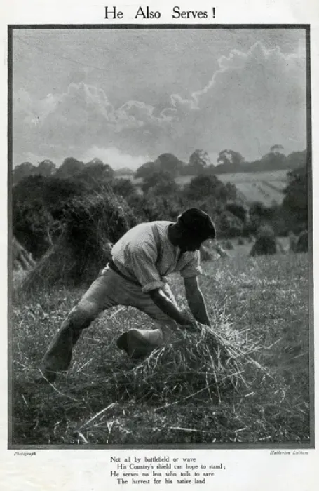 Framed Print : Man harvesting in a field, He Also Serves, WW1 Framed Print : Man harvesting in a field, He Also Serves, WW1