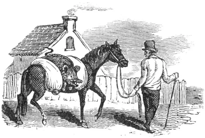 Framed Print : Man with horse and dead pig, c. 1800 Framed Print : Man with horse and dead pig, c. 1800