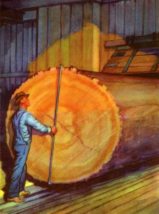 Framed Print : Man Measuring Log Framed Print : Man Measuring Log