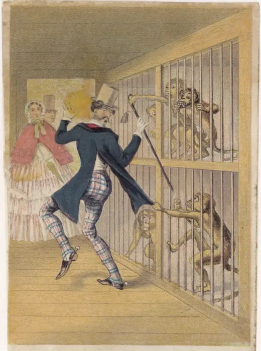 Framed Print : Man and Monkey Framed Print : Man and Monkey