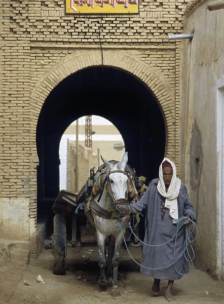 Man with mule cart, Neft, Tunisia