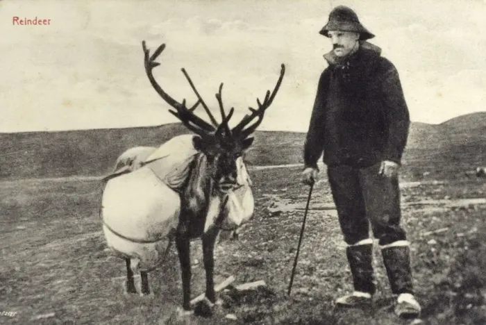 Framed Print : Man from Newfoundland and Labrador with reindeer Framed Print : Man from Newfoundland and Labrador with reindeer