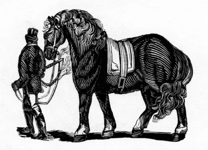Framed Print : Man & a shire horse Framed Print : Man & a shire horse
