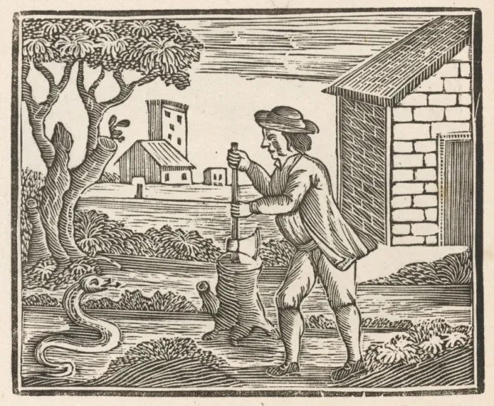Framed Print : Man and Snake Framed Print : Man and Snake
