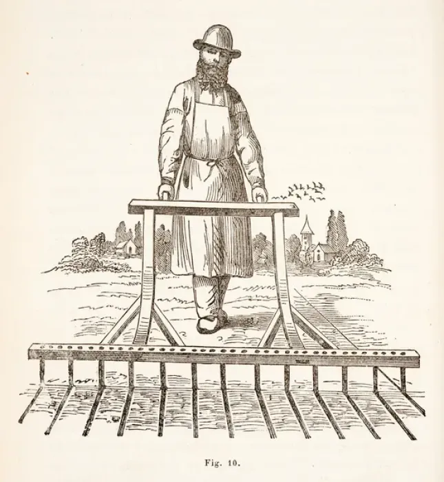 Framed Print : Man sowing seeds in lines, using mechanical device Framed Print : Man sowing seeds in lines, using mechanical device