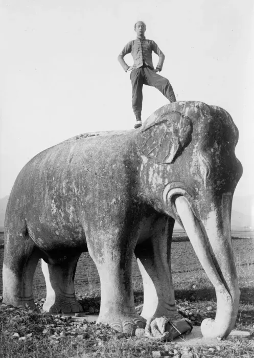 Framed Print : Man on top of stone elephant, Ming tombs, China, c. 1910 Framed Print : Man on top of stone elephant, Ming tombs, China, c. 1910