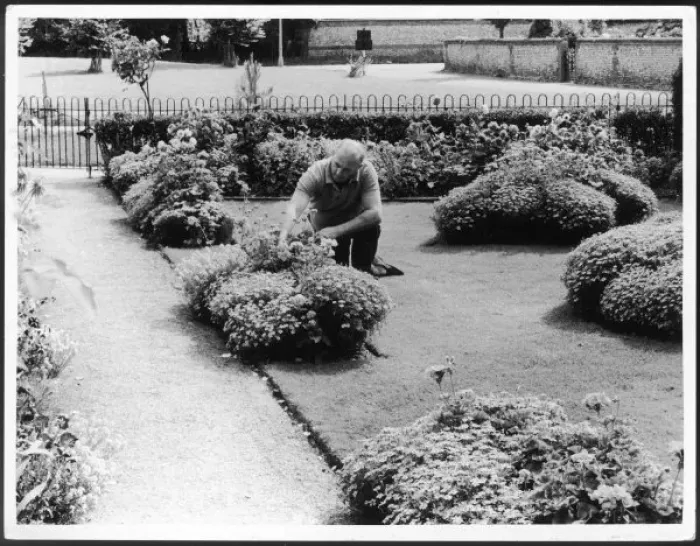 Framed Print : Man Tending Garden Framed Print : Man Tending Garden