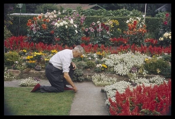Man Tending Garden