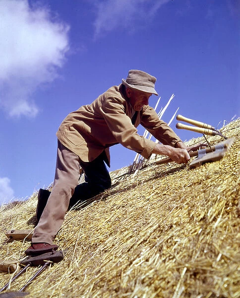 Man thatching a roof