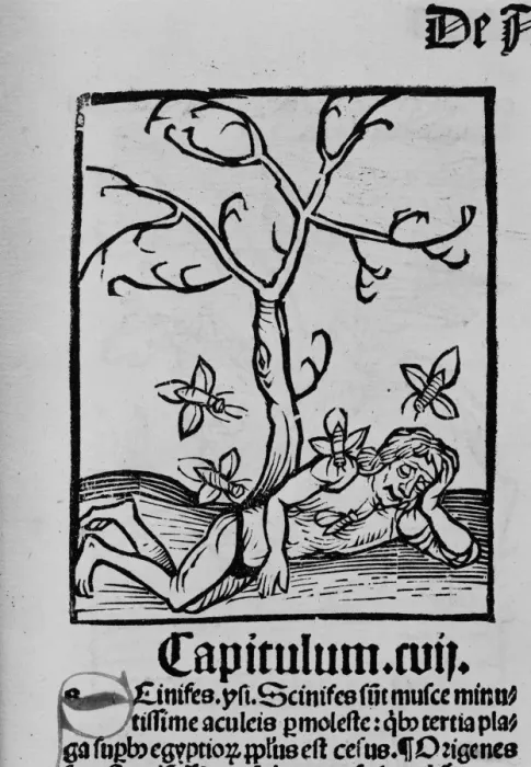 Framed Print : Man tormented by insects Framed Print : Man tormented by insects
