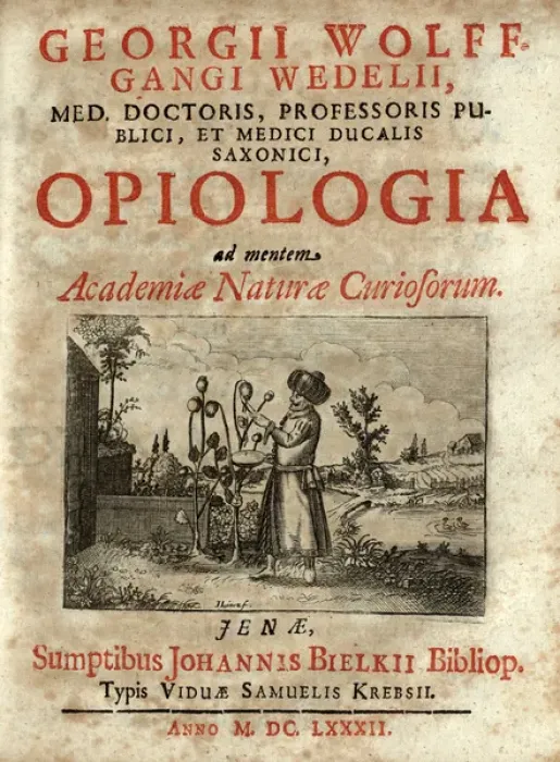 Framed Print : Man in Turkish dress and wearing a turban harvesting opium Framed Print : Man in Turkish dress and wearing a turban harvesting opium