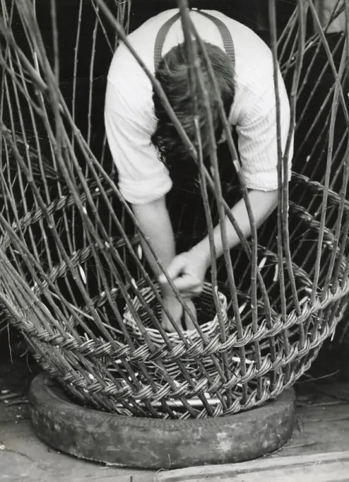 Framed Print : A man using withies (willow branches) to make a lobster or crab pot at Beesands, Start Bay, Devon. Date: 1960 Framed Print : A man using withies (willow branches) to make a lobster or crab pot at Beesands, Start Bay, Devon. Date: 1960