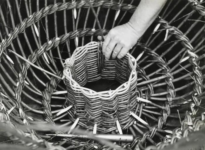 Framed Print : A man using withies (willow branches) to make a lobster or crab pot at Beesands, Start Bay, Devon. Date: 1960 Framed Print : A man using withies (willow branches) to make a lobster or crab pot at Beesands, Start Bay, Devon. Date: 1960