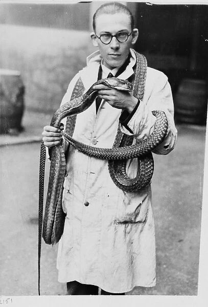 Man wearing snake, 1930s