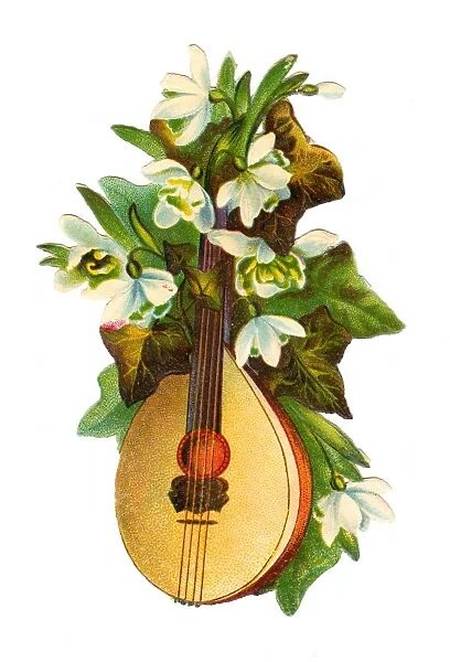 Mandolin with white flowers on a Victorian scrap