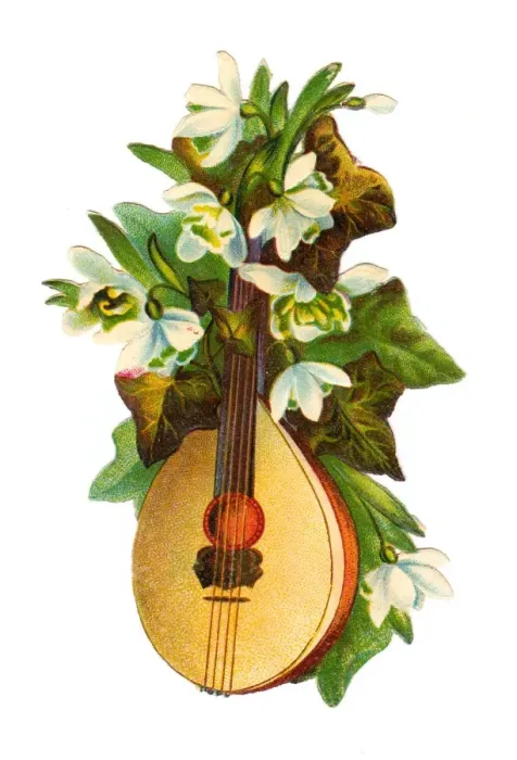 Framed Print : Mandolin with white flowers on a Victorian scrap Framed Print : Mandolin with white flowers on a Victorian scrap