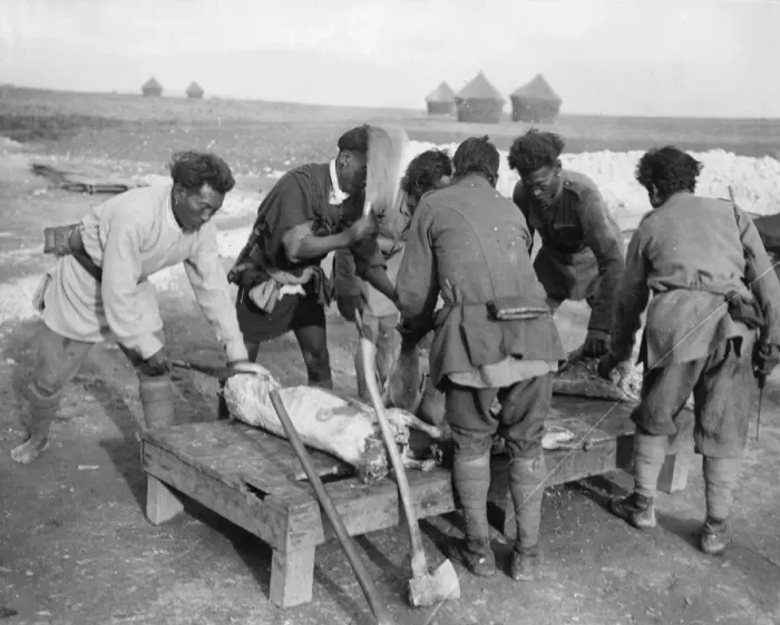 Framed Print : Manipur butchers near Arras, France, WW1 Framed Print : Manipur butchers near Arras, France, WW1