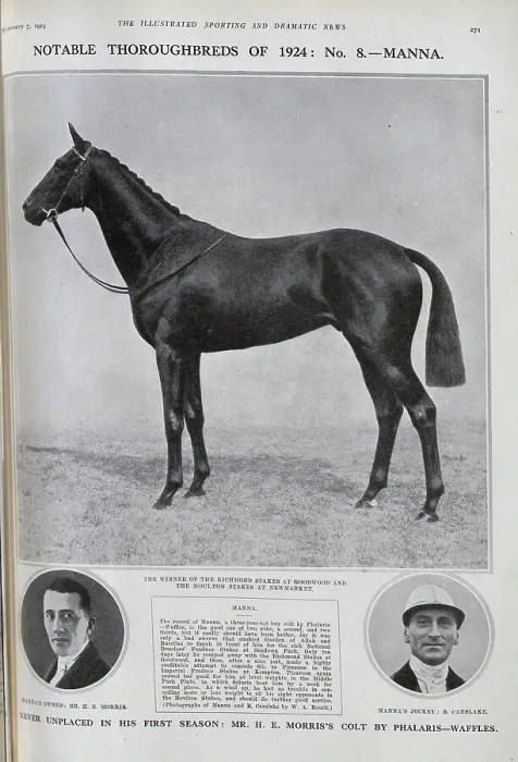 Framed Print : Manna, a Racehorse Framed Print : Manna, a Racehorse